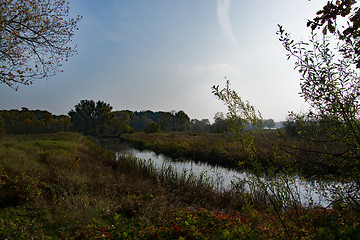 Image showing Autumn Season