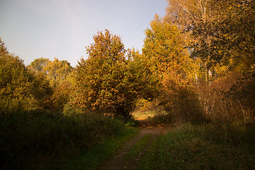 Image showing Autumn Season