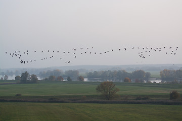 Image showing Elbe Valley