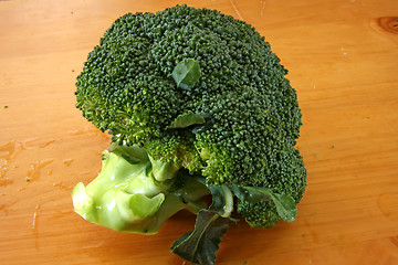 Image showing Fresh raw brocolli