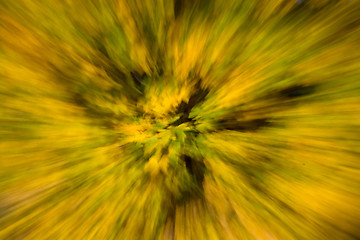 Image showing Blurred Autumn Leaf