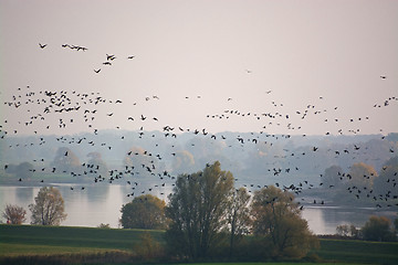 Image showing Elbe Valley