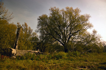 Image showing Autumn Season