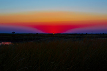 Image showing beautiful sunset in steppe 