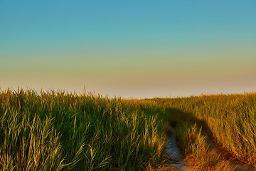 Image showing Road-fork in the prairie