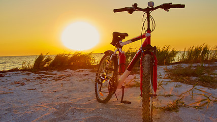 Image showing Bicycle at the beach