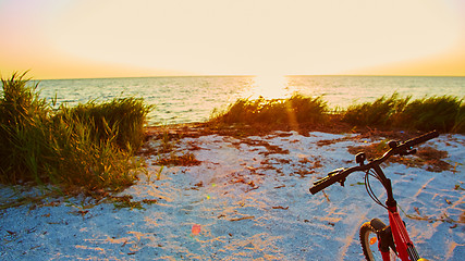 Image showing Bicycle at the beach