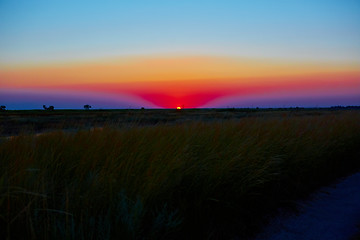 Image showing beautiful sunset in steppe 