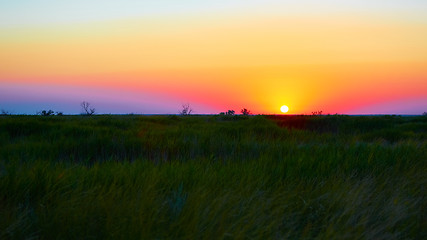 Image showing beautiful sunset in steppe 