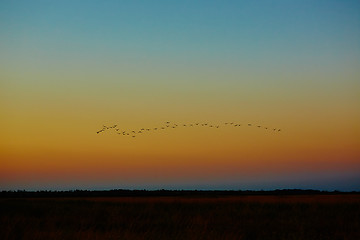 Image showing beautiful sunset in steppe 