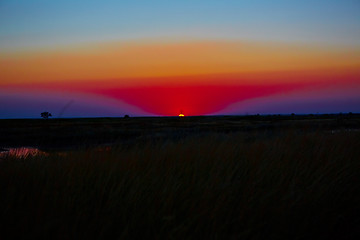 Image showing beautiful sunset in steppe 