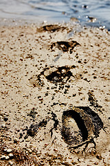 Image showing Footprints in the dirt