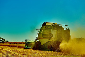 Image showing Harvester combine harvesting wheat on summer day.