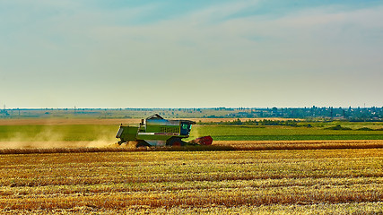 Image showing Harvester combine harvesting wheat on summer day.