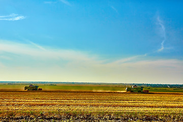 Image showing Harvester combine harvesting wheat on summer day.