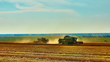 Image showing Harvester combine harvesting wheat on summer day.