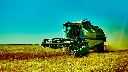 Image showing Harvester combine harvesting wheat on summer day.