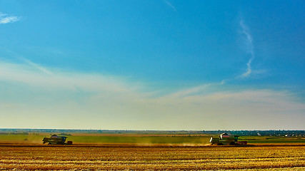 Image showing Harvester combine harvesting wheat on summer day.