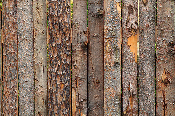 Image showing wooden bark texture\r\n