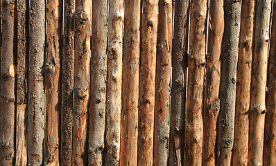 Image showing wooden bark texture\r\n