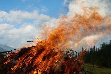 Image showing campfire