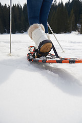 Image showing couple having fun and walking in snow shoes