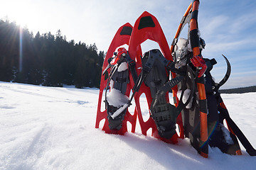 Image showing winter snowshoes