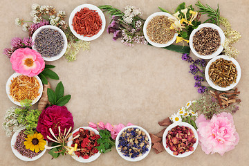 Image showing Herbal Medicine Border