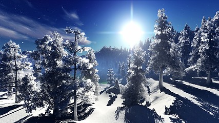 Image showing Christmac forest in mountains
