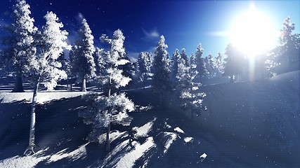 Image showing Christmac forest in mountains