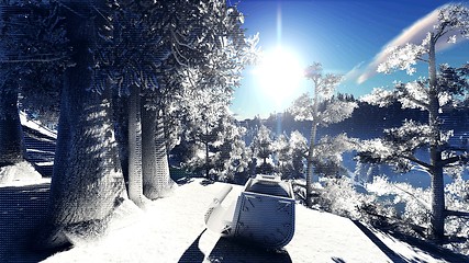 Image showing Christmac forest in mountains