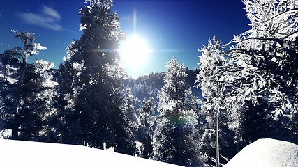 Image showing Christmac forest in mountains