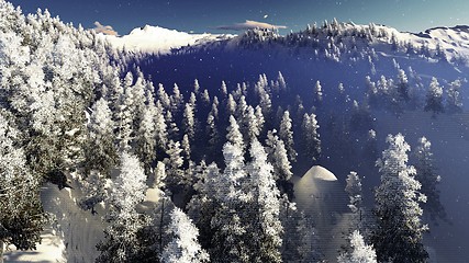 Image showing Christmac forest in mountains