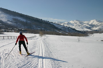 Image showing Cross country skier