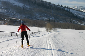 Image showing Cross country skier