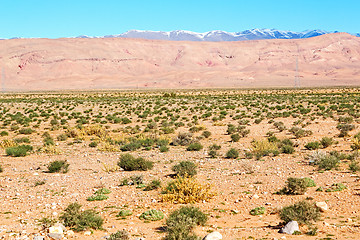 Image showing  in  morocco africa and  village