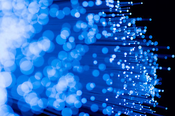 Image showing fiber optics close-up