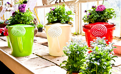 Image showing Garden - Watering can