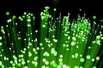 Image showing fiber optics close-up