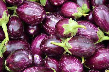 Image showing A bunch of eggplants