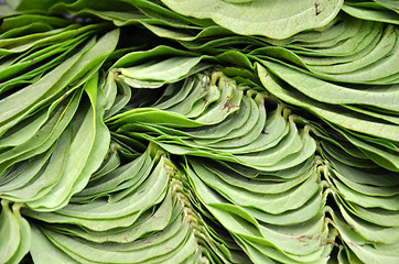 Image showing Betel leaf on the market