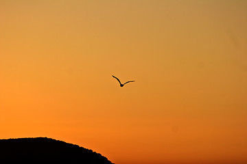 Image showing Sunset in Greece  Peloponese 