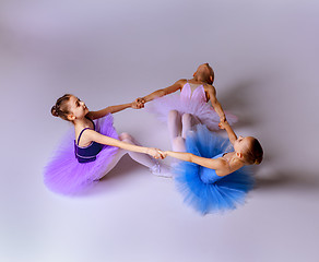 Image showing Three little ballet girls sitting in tutu and posing together