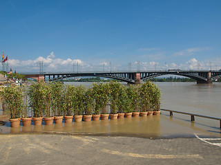 Image showing River Rhine Flood in Mainz