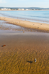 Image showing abstract in morocco  ocean wave and  bird