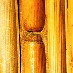 Image showing thailand abstract   bamboo in the temple kho phangan bay 