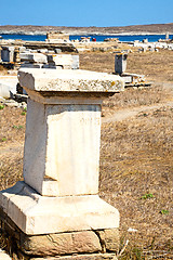 Image showing bush   in delos greece the   ruin site