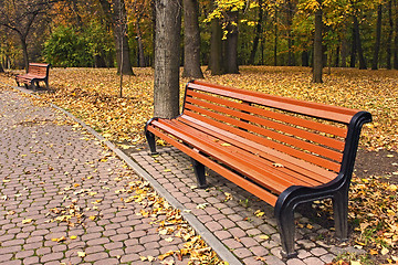 Image showing Bench in park in falling season