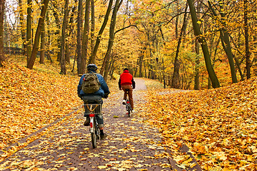 Image showing Bicyclists ride in park in falling season