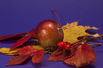 Image showing still-life